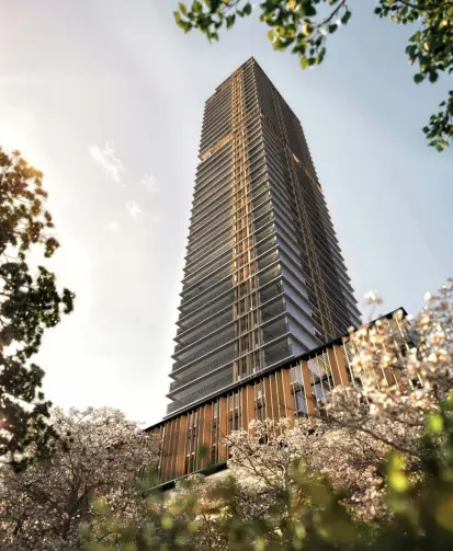 Imagem Apartamento com 3 Quartos à Venda, 244 m² em Jardim Paulista - São Paulo Imagem Apartamento com 3 Quartos à Venda, 244 m² em Jardim Paulista - São Paulo