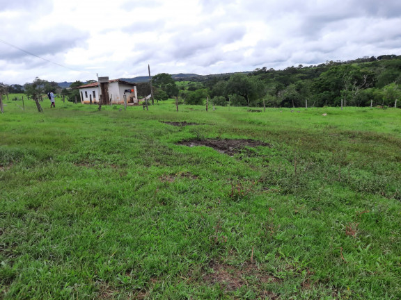 Imagem Fazenda à Venda, em Área Rural de Luziânia - Luziânia Imagem Fazenda à Venda, em Área Rural de Luziânia - Luziânia