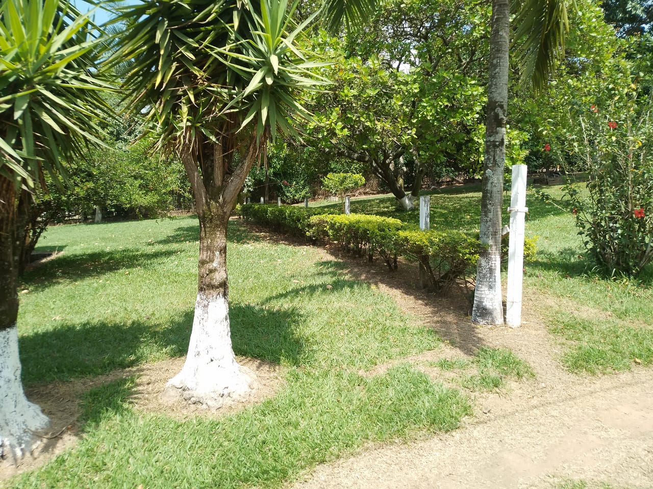 Imagem Chácara com 2 Quartos à Venda, 20 m²em Distrito Industrial - Jundiaí Imagem Chácara com 2 Quartos à Venda, 20 m²em Distrito Industrial - Jundiaí