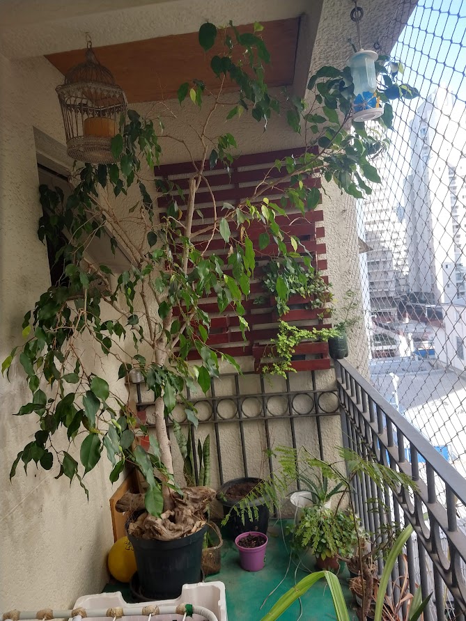 Imagem Apartamento com 2 Quartos à Venda, 80 m²em Vila Nova Conceição - São Paulo Imagem Apartamento com 2 Quartos à Venda, 80 m²em Vila Nova Conceição - São Paulo