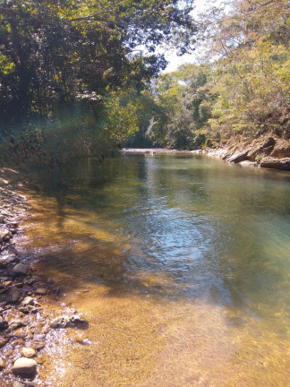 Imagem Fazenda à Venda, em Área Rural - Mimoso de Goiás Imagem Fazenda à Venda, em Área Rural - Mimoso de Goiás