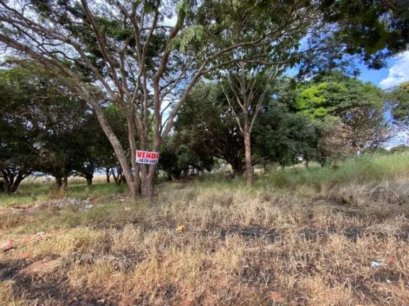 Imagem Terreno à Venda, 7.000 m² em Chácaras Coimbra - Águas Lindas de Goiás