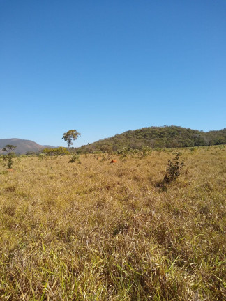 Imagem Fazenda à Venda, em Área Rural - Mimoso de Goiás Imagem Fazenda à Venda, em Área Rural - Mimoso de Goiás