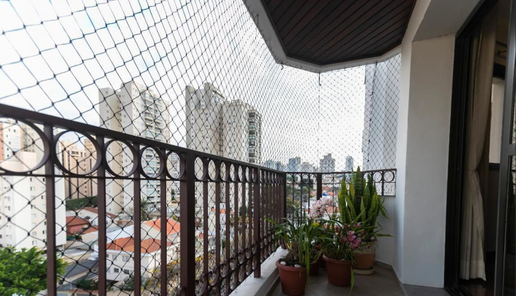 Imagem Apartamento com 3 Quartos à Venda, em Chácara Inglesa - São Paulo Imagem Apartamento com 3 Quartos à Venda, em Chácara Inglesa - São Paulo