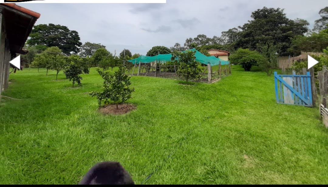 Imagem Chácara com 4 Quartos à Venda, 440 m² em - Sarapuí Imagem Chácara com 4 Quartos à Venda, 440 m² em - Sarapuí