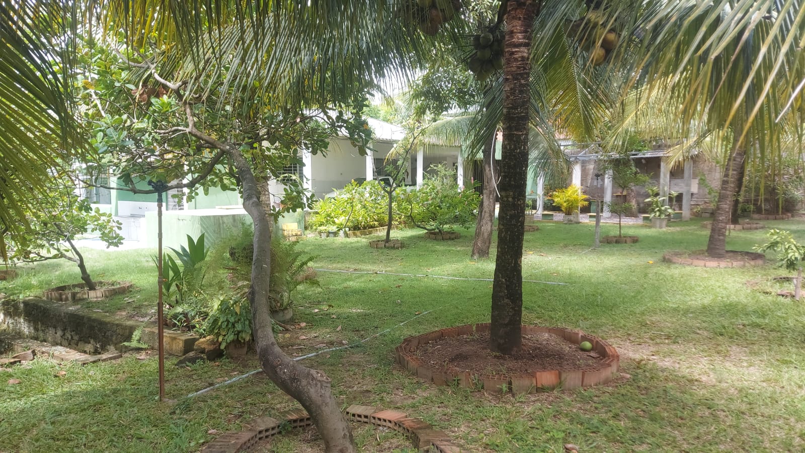 Imovel