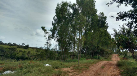Imagem Fazenda à Venda, 8 Alq GOem Zona Rural - Silvânia Imagem Fazenda à Venda, 8 Alq GOem Zona Rural - Silvânia