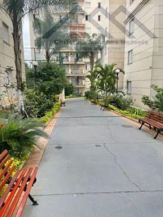 Imagem Apartamento com 3 Quartos à Venda, 67 m² em Jardim Vergueiro (Sacomã) - São Paulo Imagem Apartamento com 3 Quartos à Venda, 67 m² em Jardim Vergueiro (Sacomã) - São Paulo