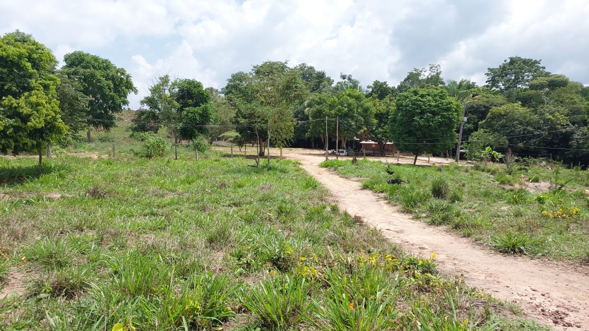 Imagem Fazenda à Venda, 9 Alq MGem Nova Marabá - Marabá Imagem Fazenda à Venda, 9 Alq MGem Nova Marabá - Marabá