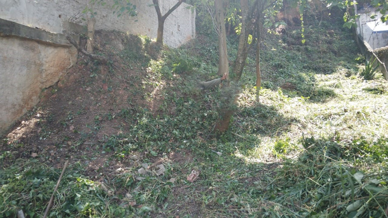 Imagem Terreno à Venda, 500 m² em Vila Gustavo - São Paulo Imagem Terreno à Venda, 500 m² em Vila Gustavo - São Paulo