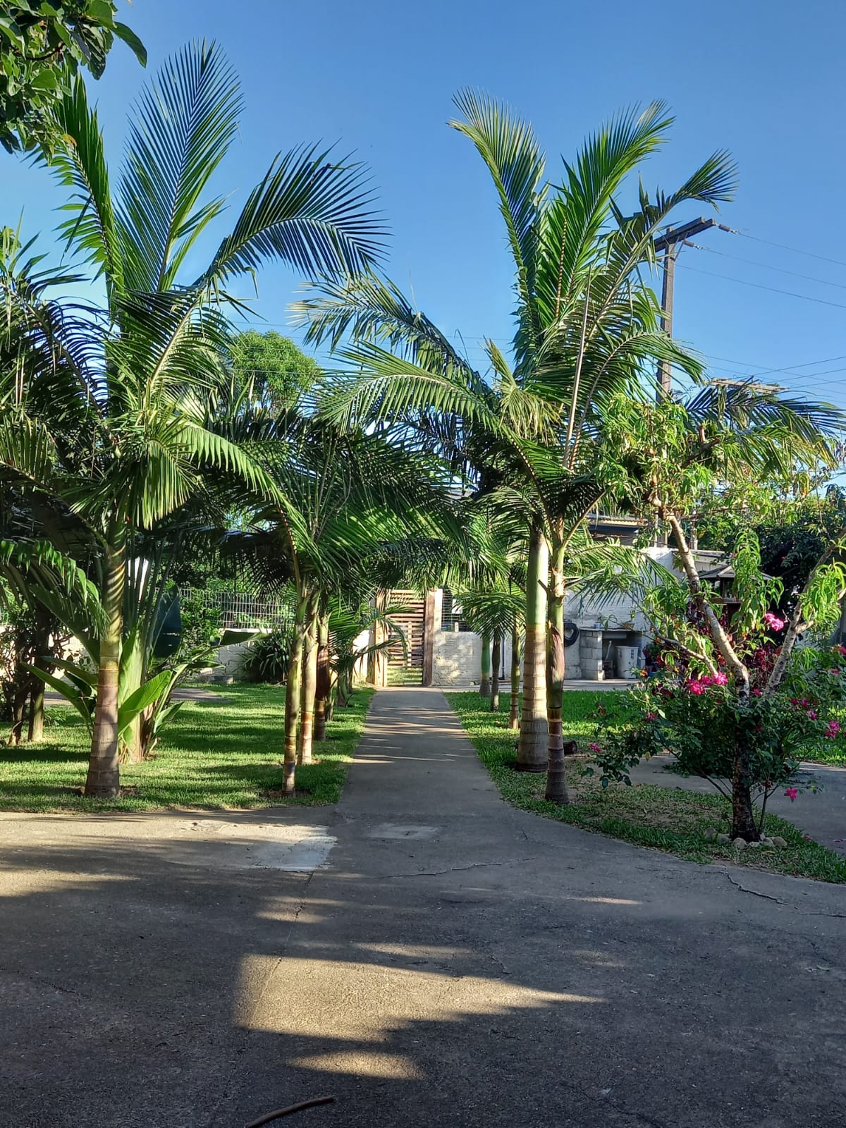 Imagem Casa com 2 Quartos à Venda, 120 m²em São Thomaz  - Imbituba