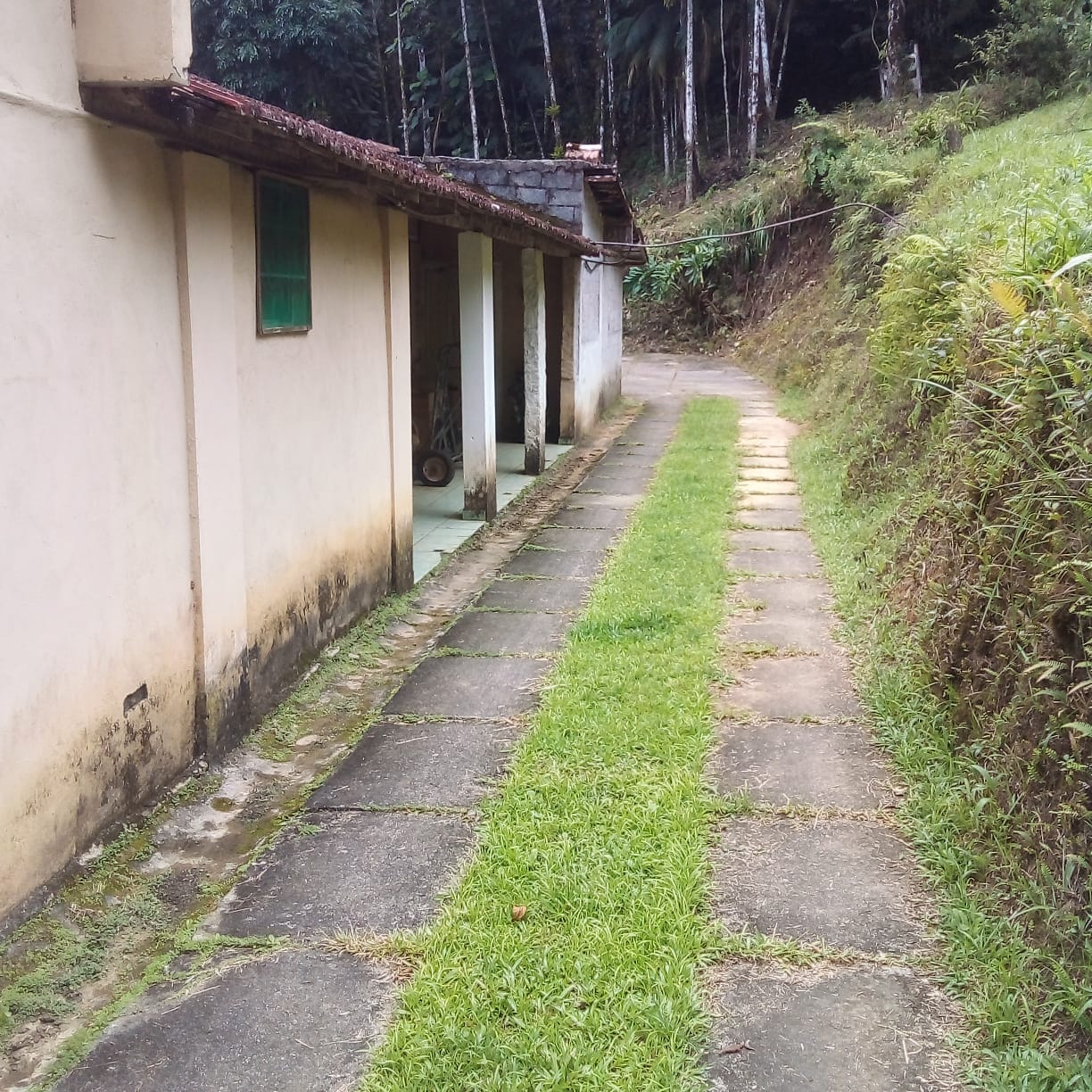 Imagem Chácara com 5 Quartos à Venda, 30 m² em Ribeirão do Ouro - Tapiraí Imagem Chácara com 5 Quartos à Venda, 30 m² em Ribeirão do Ouro - Tapiraí