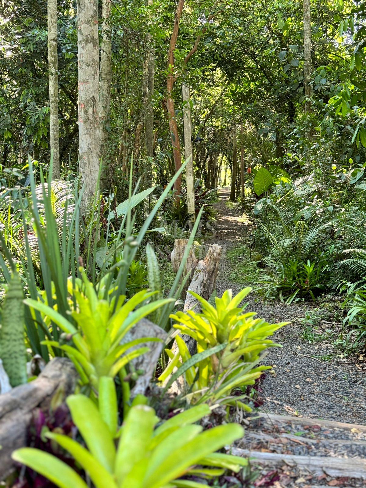 Imagem Terreno à Venda, 2 m²em Lomba Grande - Novo Hamburgo