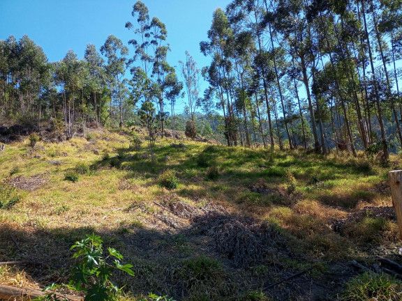 Imagem Chácara à Venda, 96.000 m² em KM 45 DA RODOVIA TAMOIOS - Paraibuna Imagem Chácara à Venda, 96.000 m² em KM 45 DA RODOVIA TAMOIOS - Paraibuna