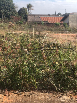Imagem Terreno à Venda, 330 m² em Vila Nove de Julho - Bauru Imagem Terreno à Venda, 330 m² em Vila Nove de Julho - Bauru