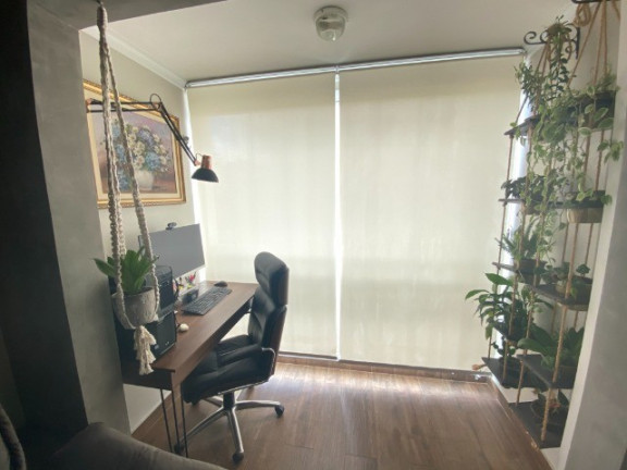 Imagem Apartamento com 2 Quartos à Venda ou Locação, 55 m² em Parque Reboucas - São Paulo Imagem Apartamento com 2 Quartos à Venda ou Locação, 55 m² em Parque Reboucas - São Paulo