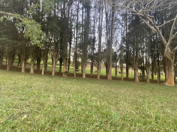 Imagem Terreno à Venda, 1.000 m² em Jardim Primavera - Salto de Pirapora Imagem Terreno à Venda, 1.000 m² em Jardim Primavera - Salto de Pirapora