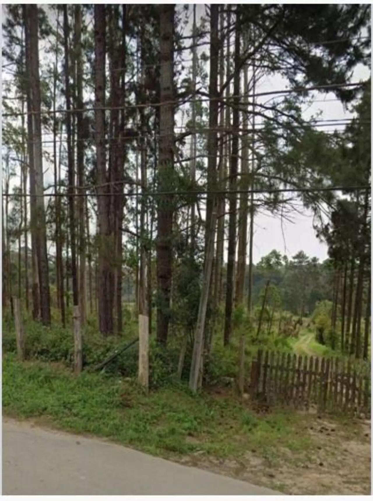 Imagem Terreno à Venda, 54 m²em Jardim Campestre - Embu-Guaçu Imagem Terreno à Venda, 54 m²em Jardim Campestre - Embu-Guaçu