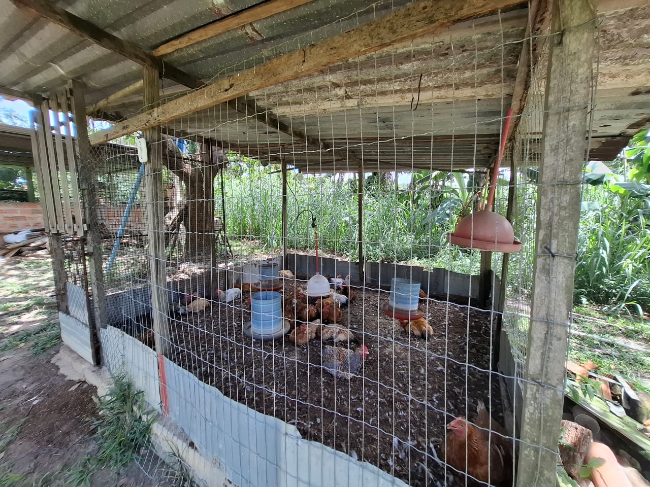 Imagem Chácara com 3 Quartos à Venda, 280 m² em Coqueiro - São Luís