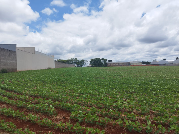 Imagem Terreno à Venda, em Vila Industrial - Arapongas Imagem Terreno à Venda, em Vila Industrial - Arapongas