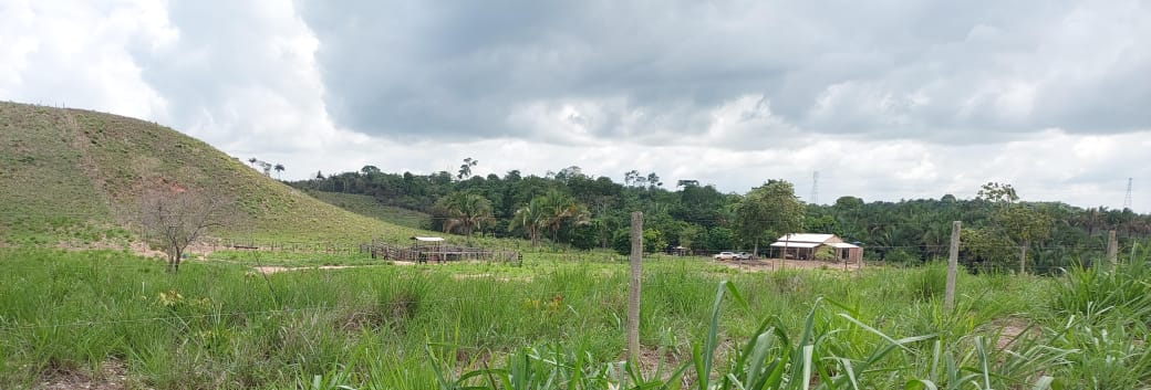 Imagem Fazenda à Venda, 9 Alq MGem Nova Marabá - Marabá Imagem Fazenda à Venda, 9 Alq MGem Nova Marabá - Marabá