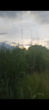 Imagem Terreno à Venda, 20.000 m² em Chácaras Brasil B - Valparaíso de Goiás Imagem Terreno à Venda, 20.000 m² em Chácaras Brasil B - Valparaíso de Goiás
