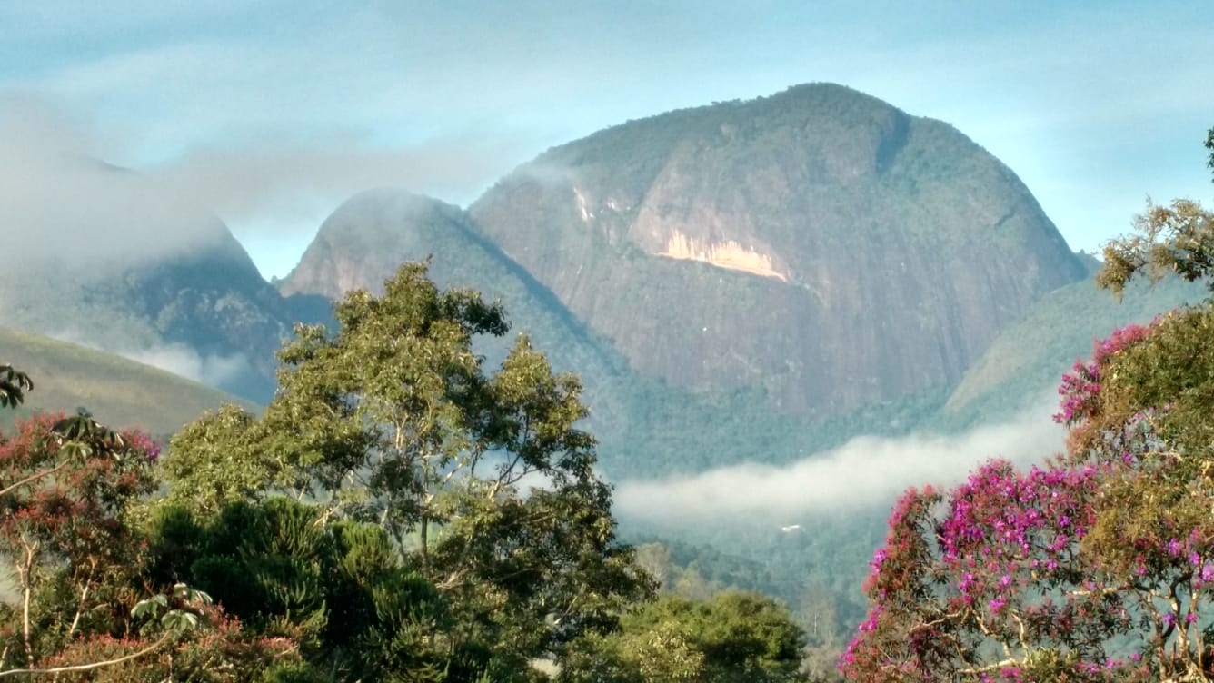 Imagem Casa de Condomínio com 9 Quartos à Venda, 520 m² em Itaipava - Petrópolis