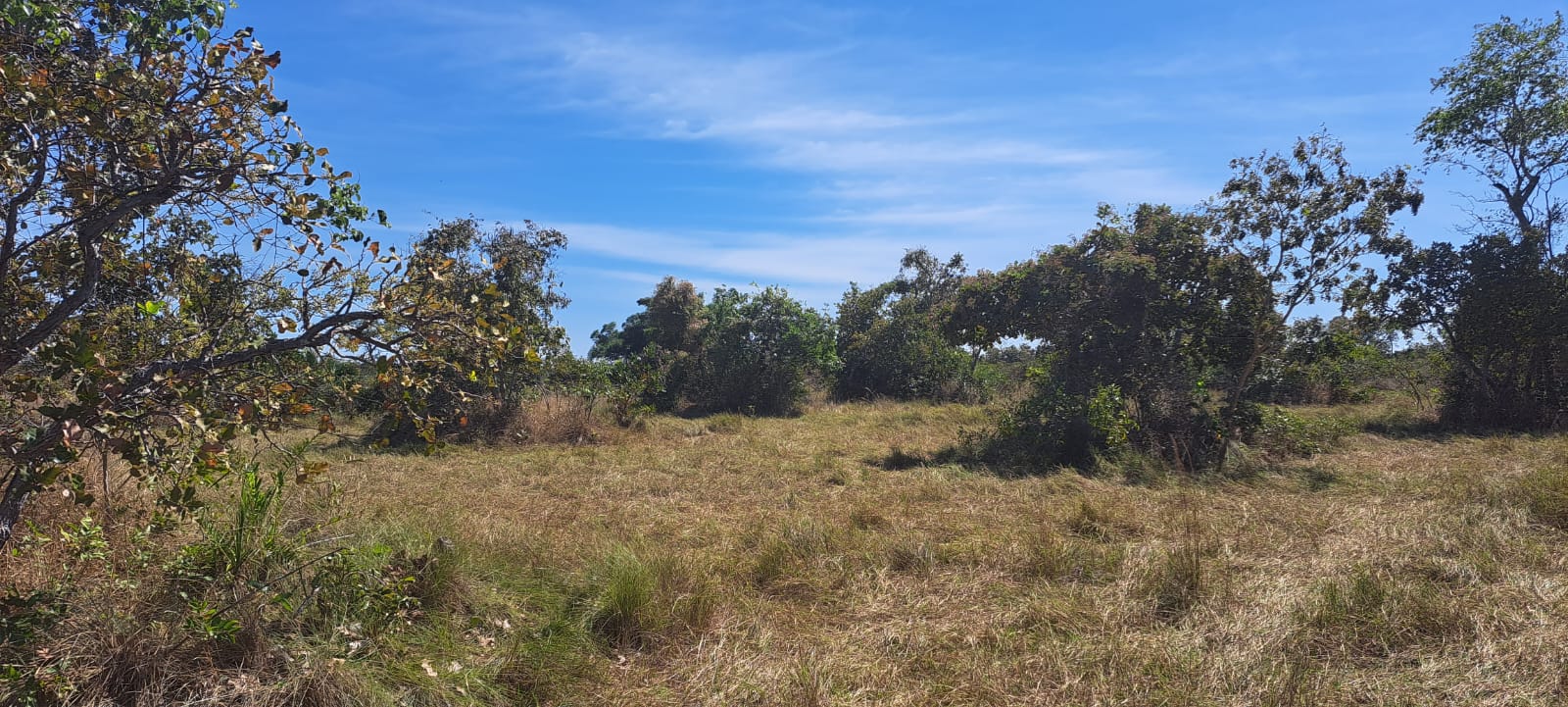 Imagem Fazenda à Venda, 25 Alq GOem Zona Rural - Araguaiana Imagem Fazenda à Venda, 25 Alq GOem Zona Rural - Araguaiana