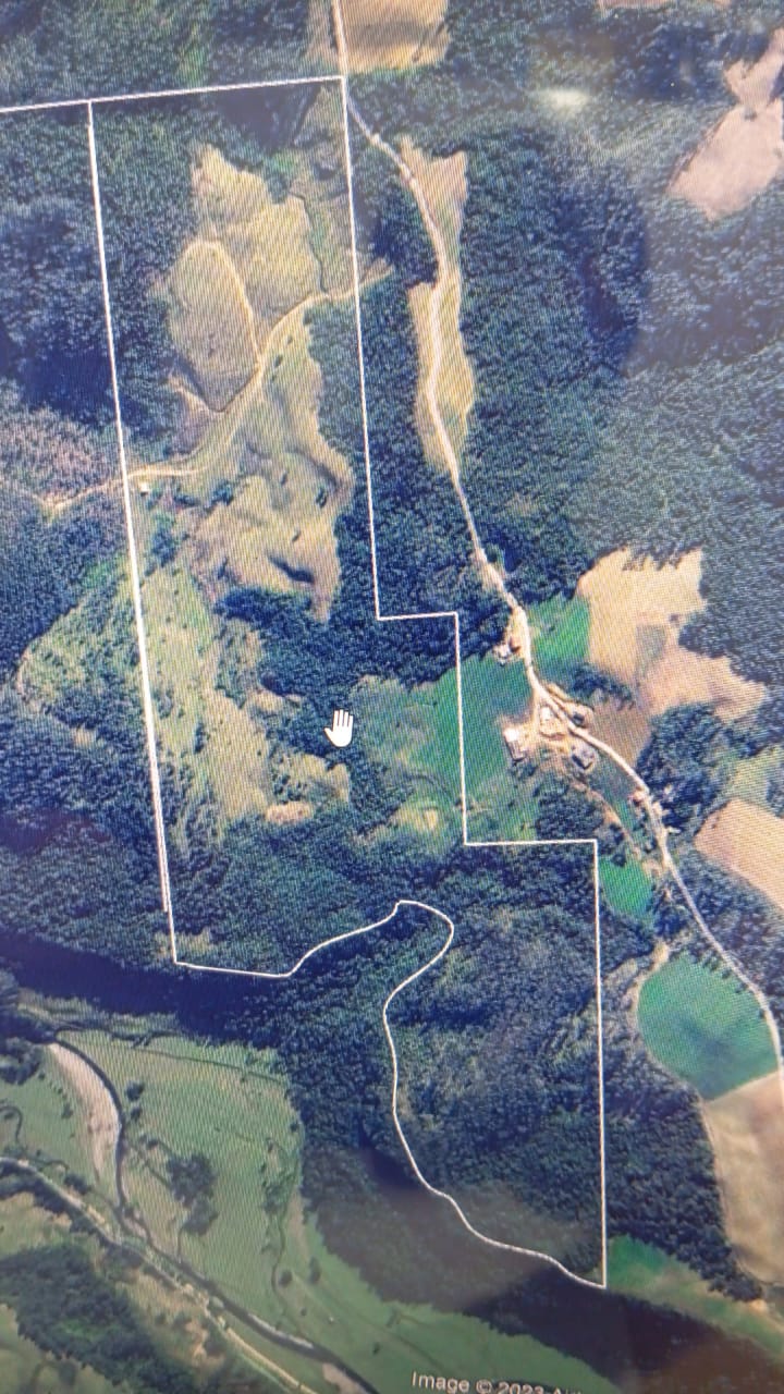 Imagem Fazenda à Venda, 34 HAem Brusque do Sul - Orleans Imagem Fazenda à Venda, 34 HAem Brusque do Sul - Orleans