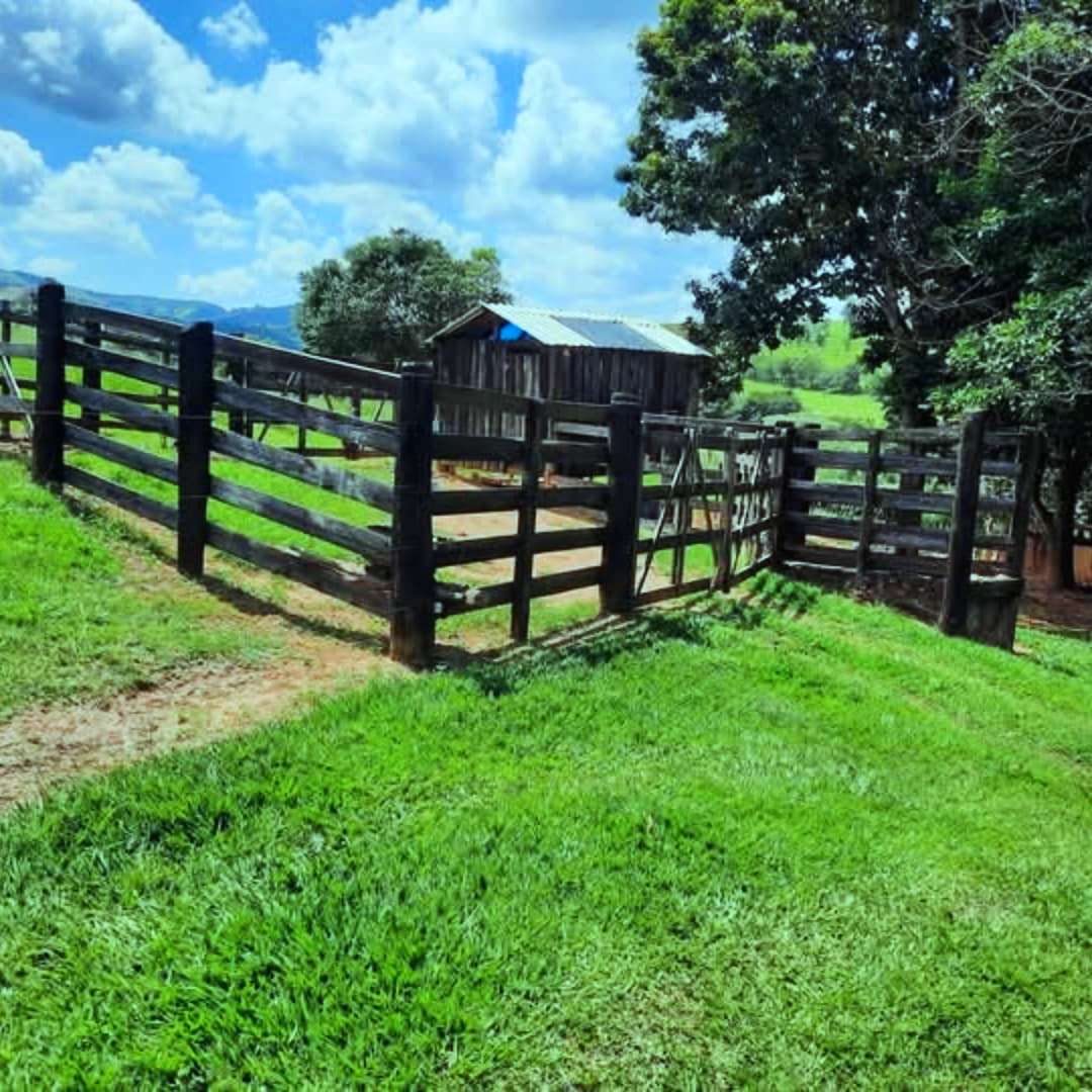 Imagem Fazenda à Venda, 4 Alq SPem rural - Caconde