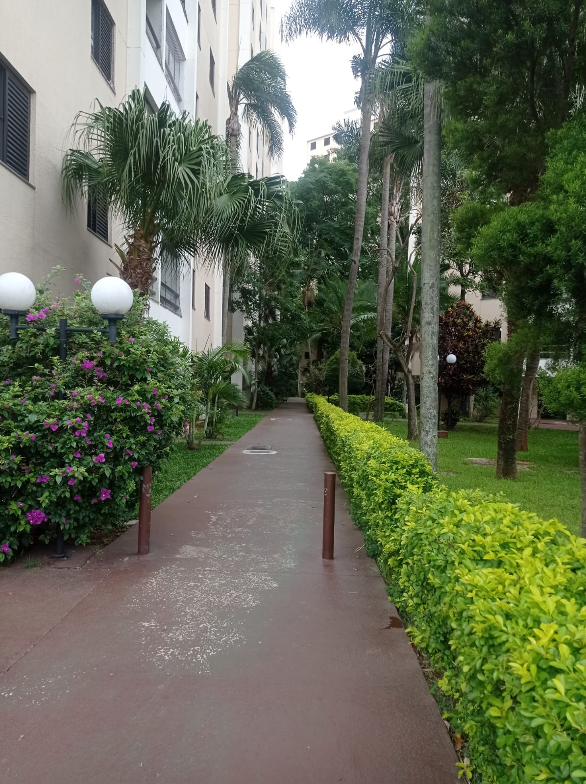 Imagem Apartamento com 3 Quartos à Venda, 76 m²em Jardim Bontempo - Taboão da Serra Imagem Apartamento com 3 Quartos à Venda, 76 m²em Jardim Bontempo - Taboão da Serra