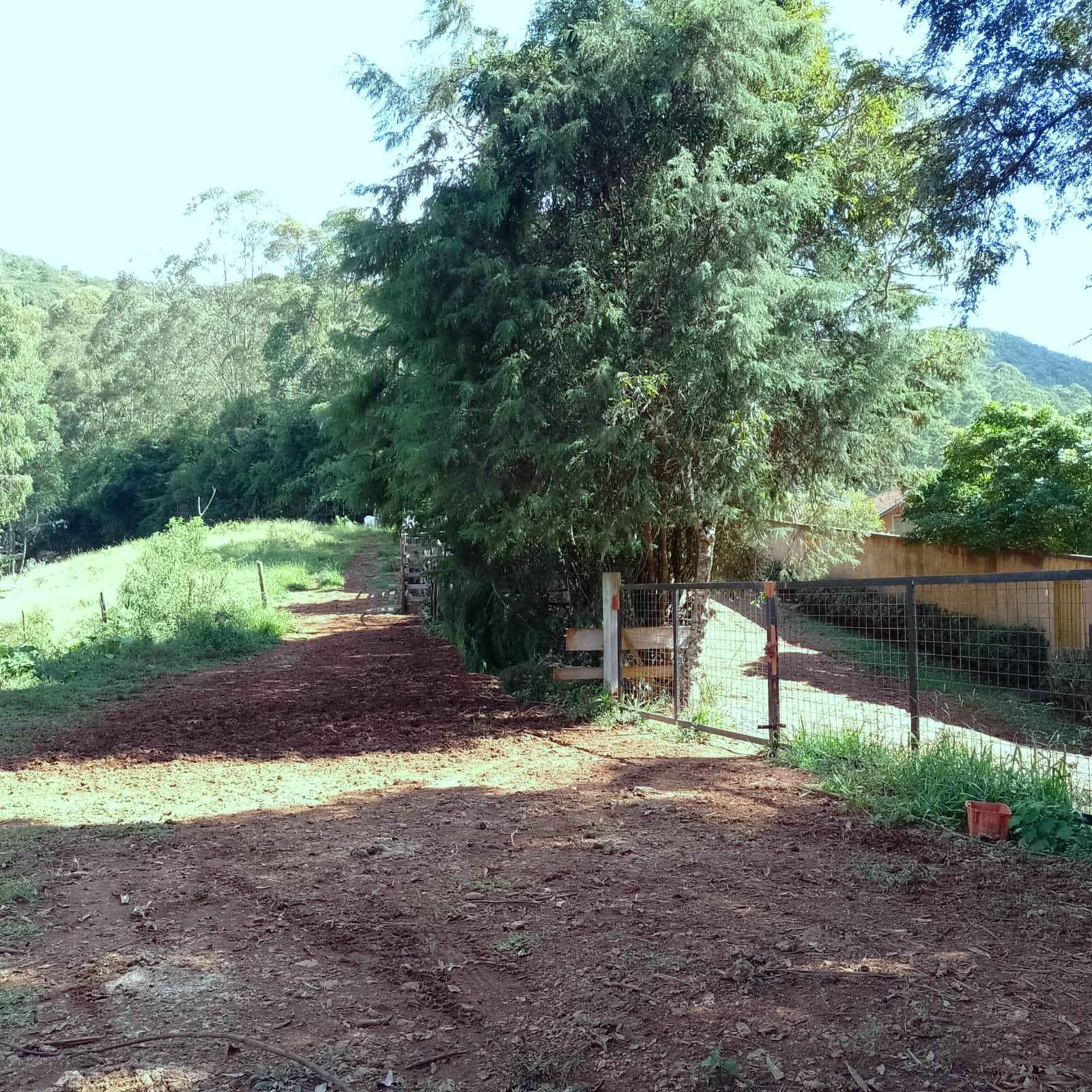 Imagem Chácara à Venda, 20.000 m² em Colinas - Poços de Caldas Imagem Chácara à Venda, 20.000 m² em Colinas - Poços de Caldas