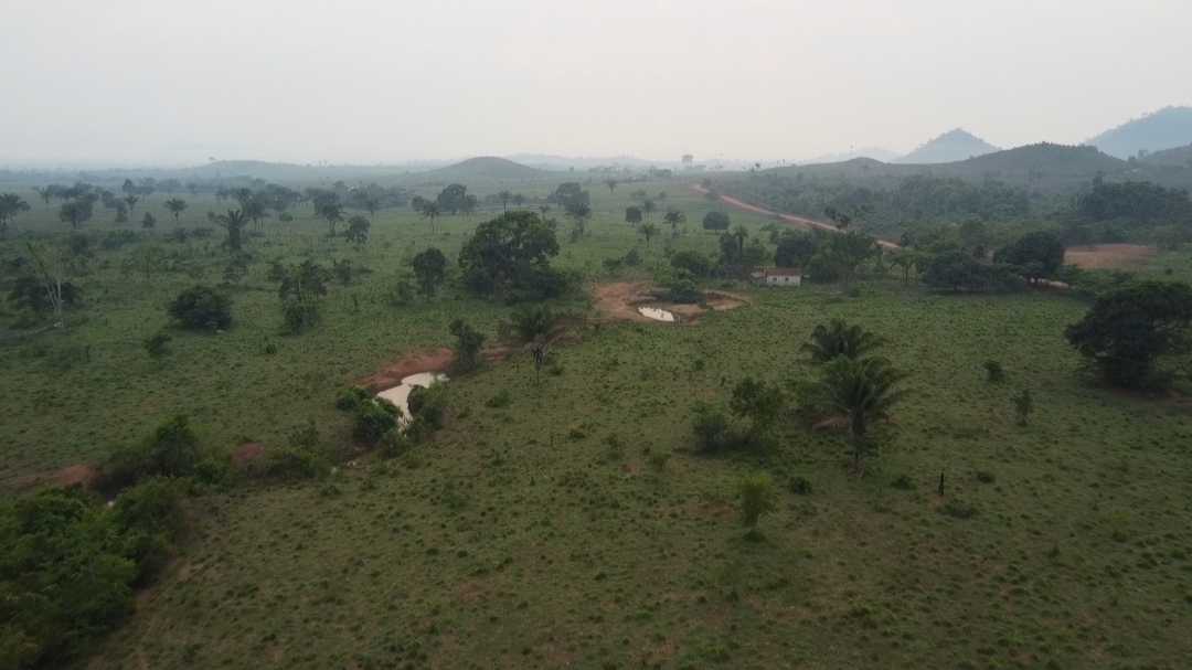 Imagem Fazenda à Venda, 1 m²em Centro  - São Félix do Xingu
