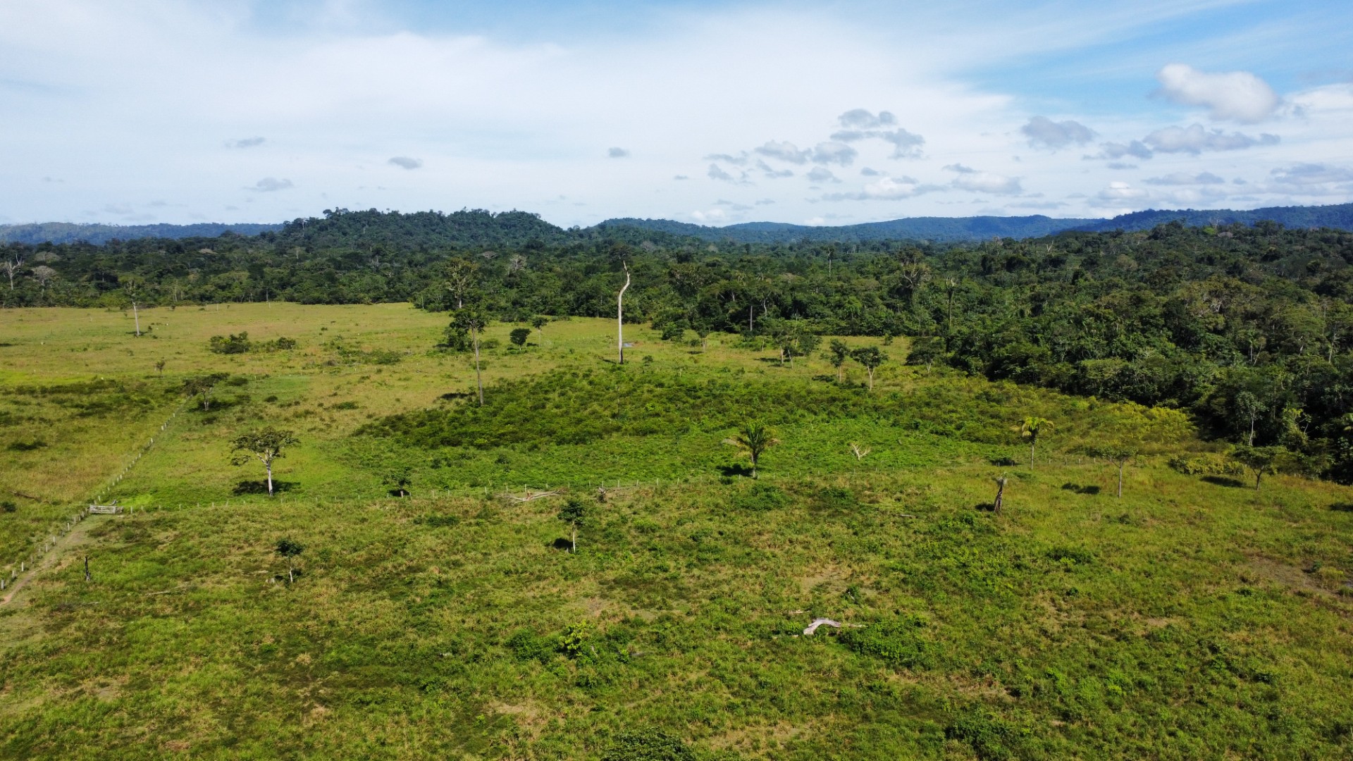 Imagem Fazenda à Venda, 900 Alq MGem Centro - São Félix do Xingu Imagem Fazenda à Venda, 900 Alq MGem Centro - São Félix do Xingu