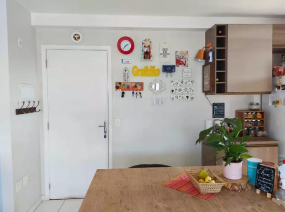 Imagem Apartamento com 2 Quartos à Venda, 50 m² em Jardim Santa Terezinha (Zona Leste) - São Paulo Imagem Apartamento com 2 Quartos à Venda, 50 m² em Jardim Santa Terezinha (Zona Leste) - São Paulo