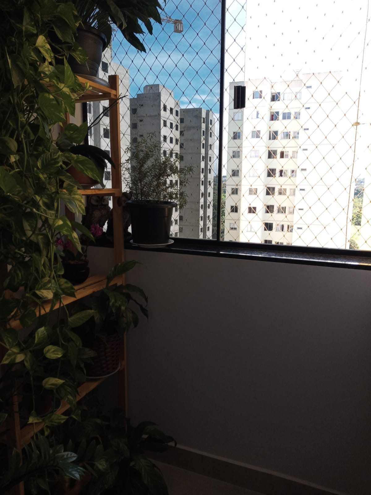 Imagem Apartamento com 3 Quartos à Venda, 70 m²em Setor Negrão de Lima - Goiânia Imagem Apartamento com 3 Quartos à Venda, 70 m²em Setor Negrão de Lima - Goiânia