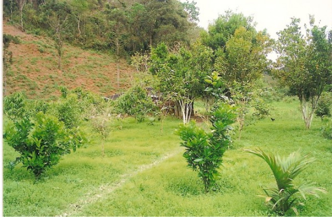 Imagem Terreno à Venda, 726.000 m² em Jardim Mirna - Taboão da Serra