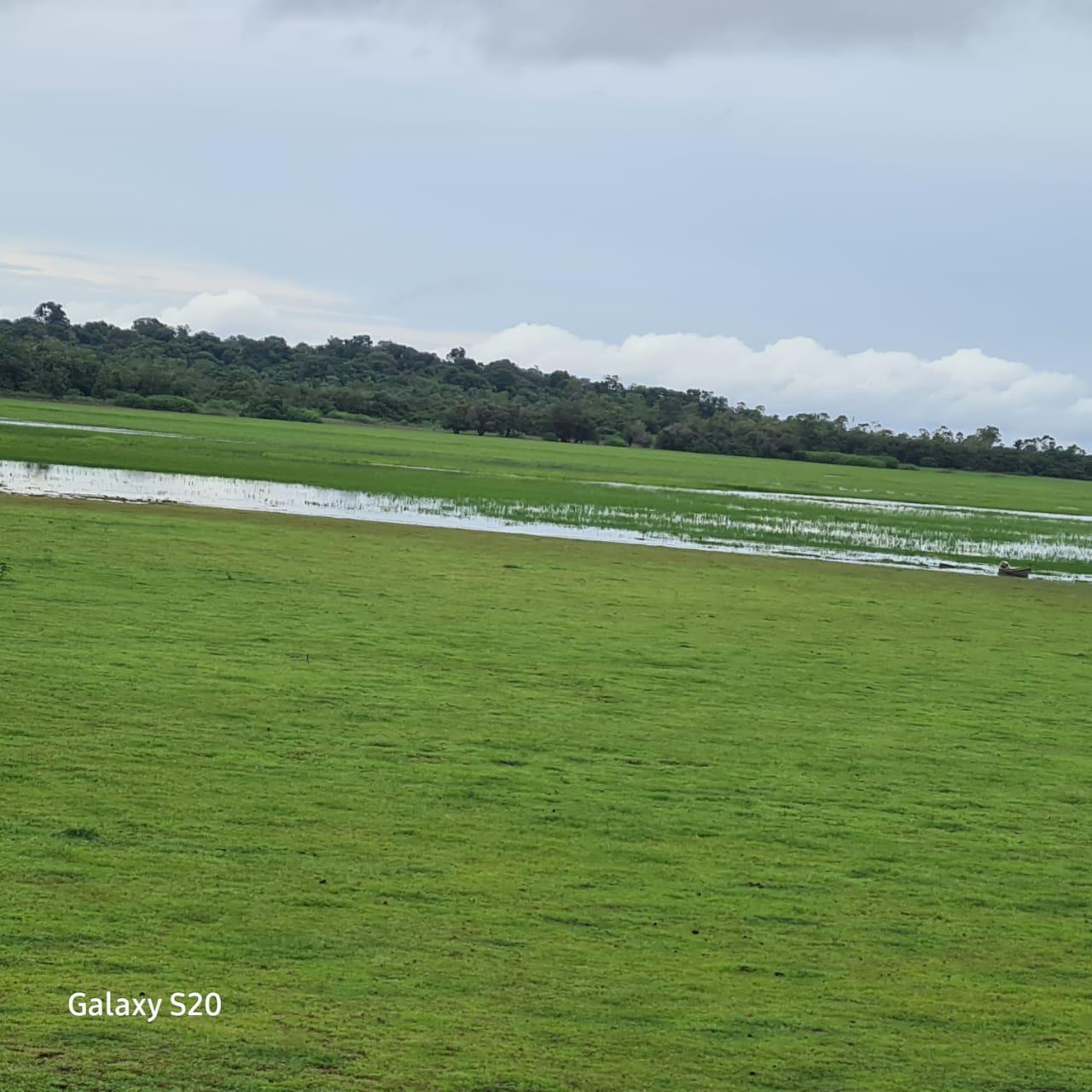 Imagem Fazenda à Venda, 11.970 m² em Zona Rural - Alenquer Imagem Fazenda à Venda, 11.970 m² em Zona Rural - Alenquer