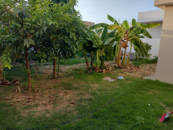 Imagem Casa com 3 Quartos à Venda, 128 m² em Centro - Barra dos Coqueiros