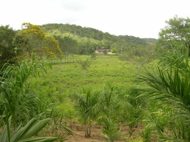 Imagem Terreno à Venda, 194 m²em Parque Santa Rosa - Suzano Imagem Terreno à Venda, 194 m²em Parque Santa Rosa - Suzano