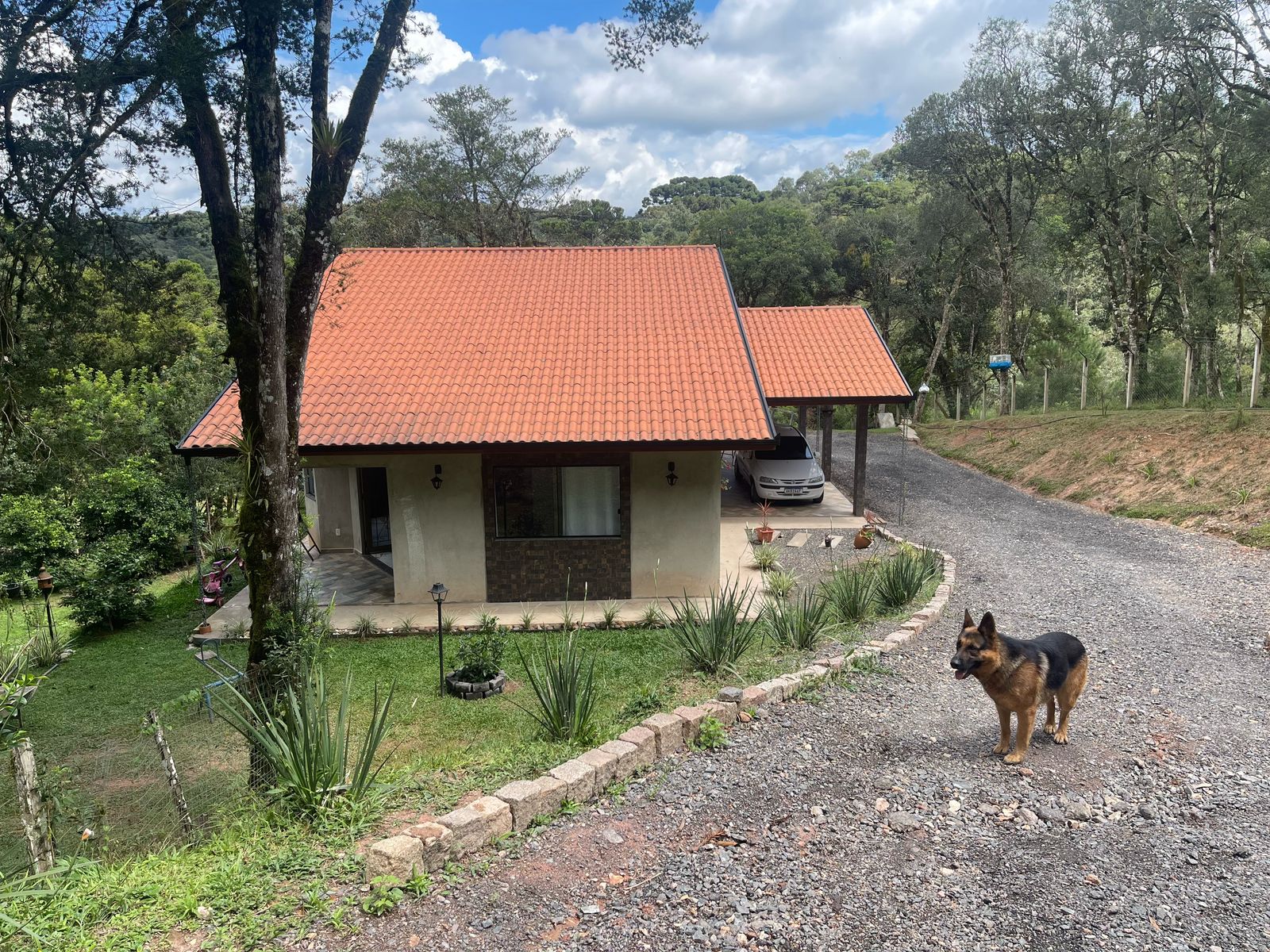 Imagem Chácara com 3 Quartos à Venda, 6.800 m² em Salgadinho - Campo Largo