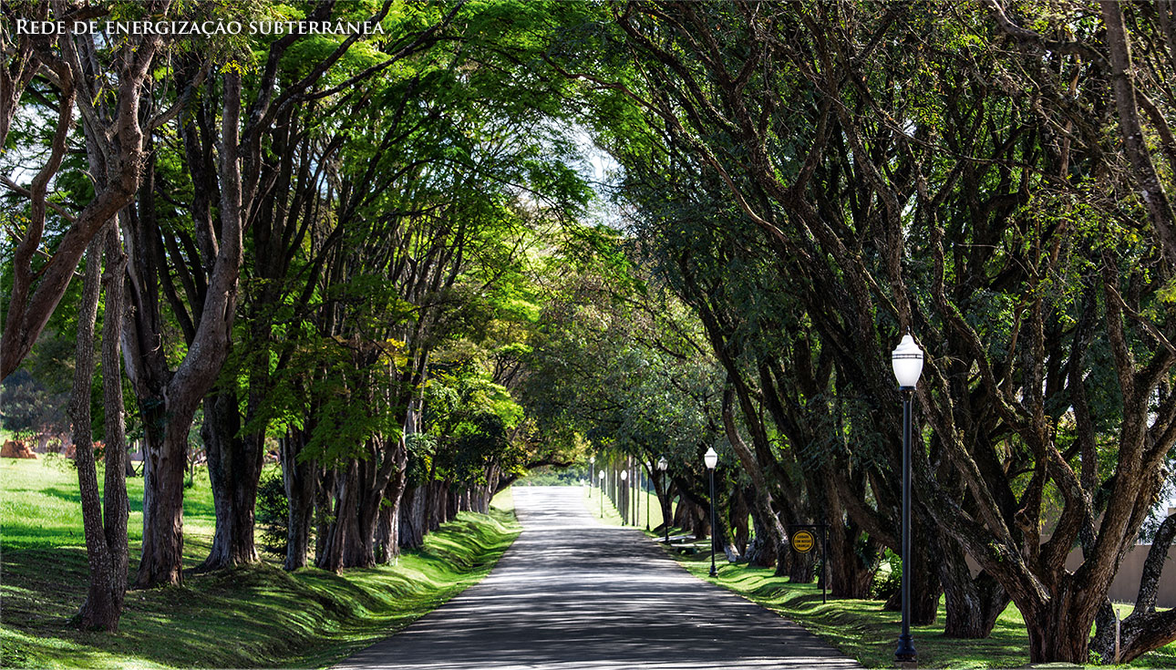 Imagem Terreno à Venda, 800 m²em Bairro Rio Abaixo - Itupeva Imagem Terreno à Venda, 800 m²em Bairro Rio Abaixo - Itupeva