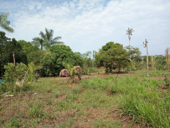 Terreno à Venda, 2.000 m² em Zona Rural - Humaitá