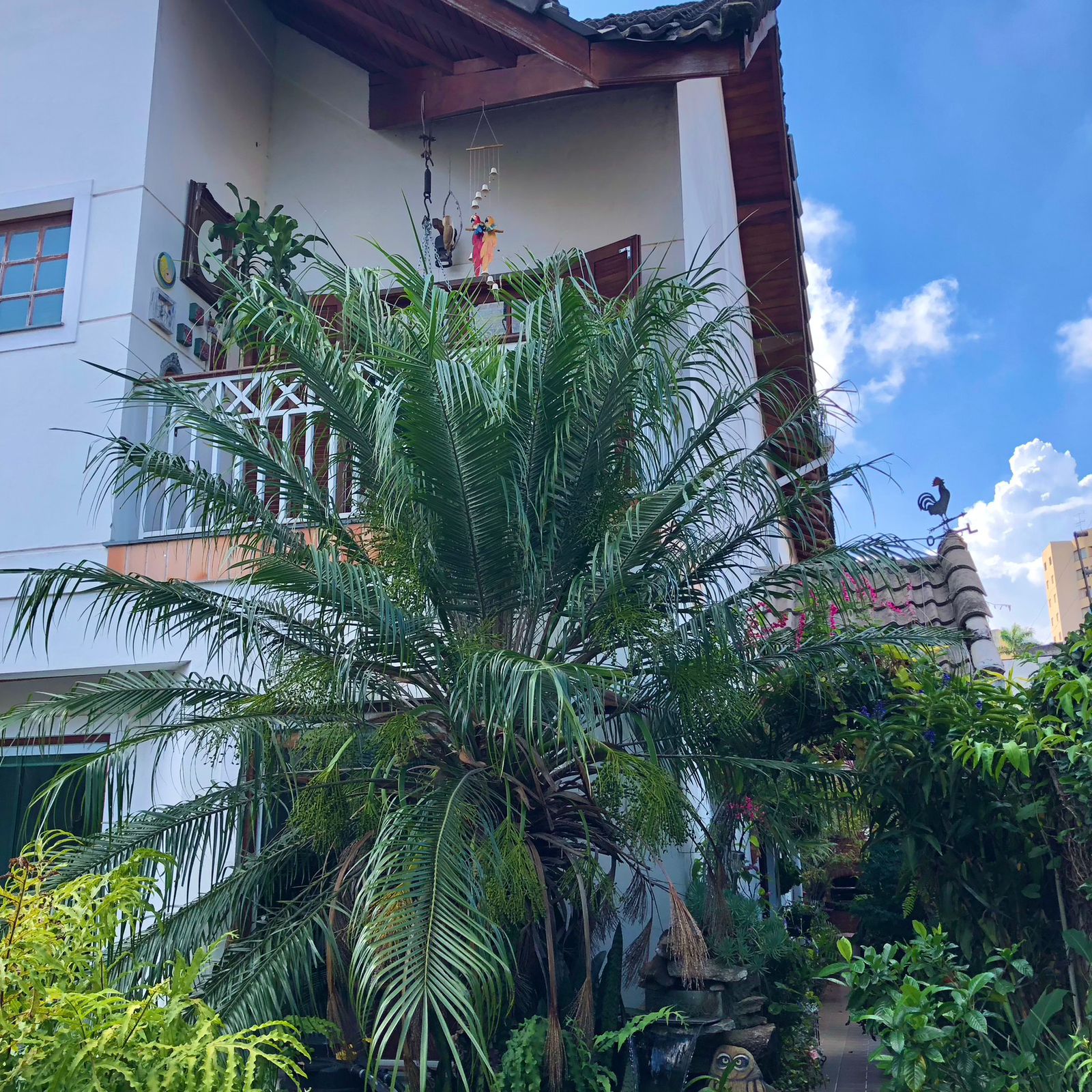 Imagem Casa com 3 Quartos à Venda, 218 m²em Vila Matilde - São Paulo