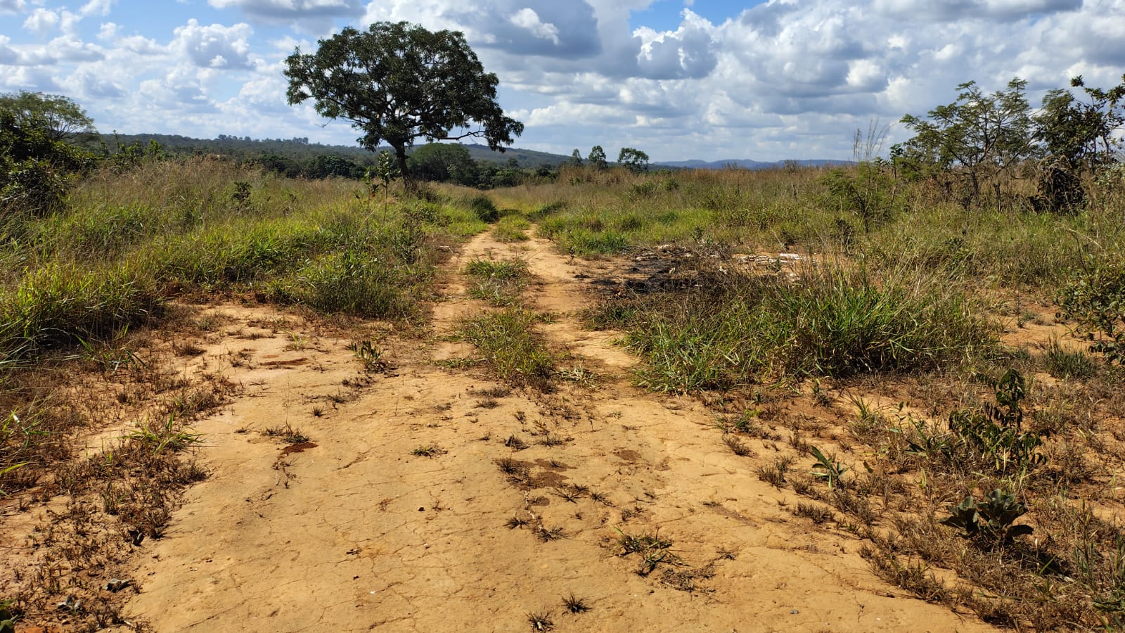 Imagem Terreno à Venda, 467 m² em - Imagem Terreno à Venda, 467 m² em -