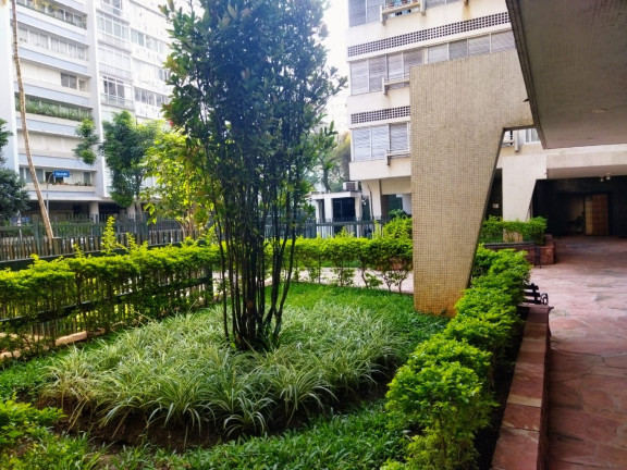 Imagem Apartamento com 3 Quartos à Venda, 180 m² em Higienópolis - São Paulo Imagem Apartamento com 3 Quartos à Venda, 180 m² em Higienópolis - São Paulo