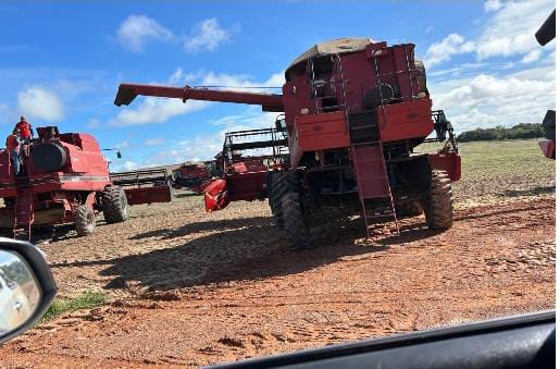 Imagem Fazenda à Venda, 800 HAem ZONA RURAL - Guiratinga