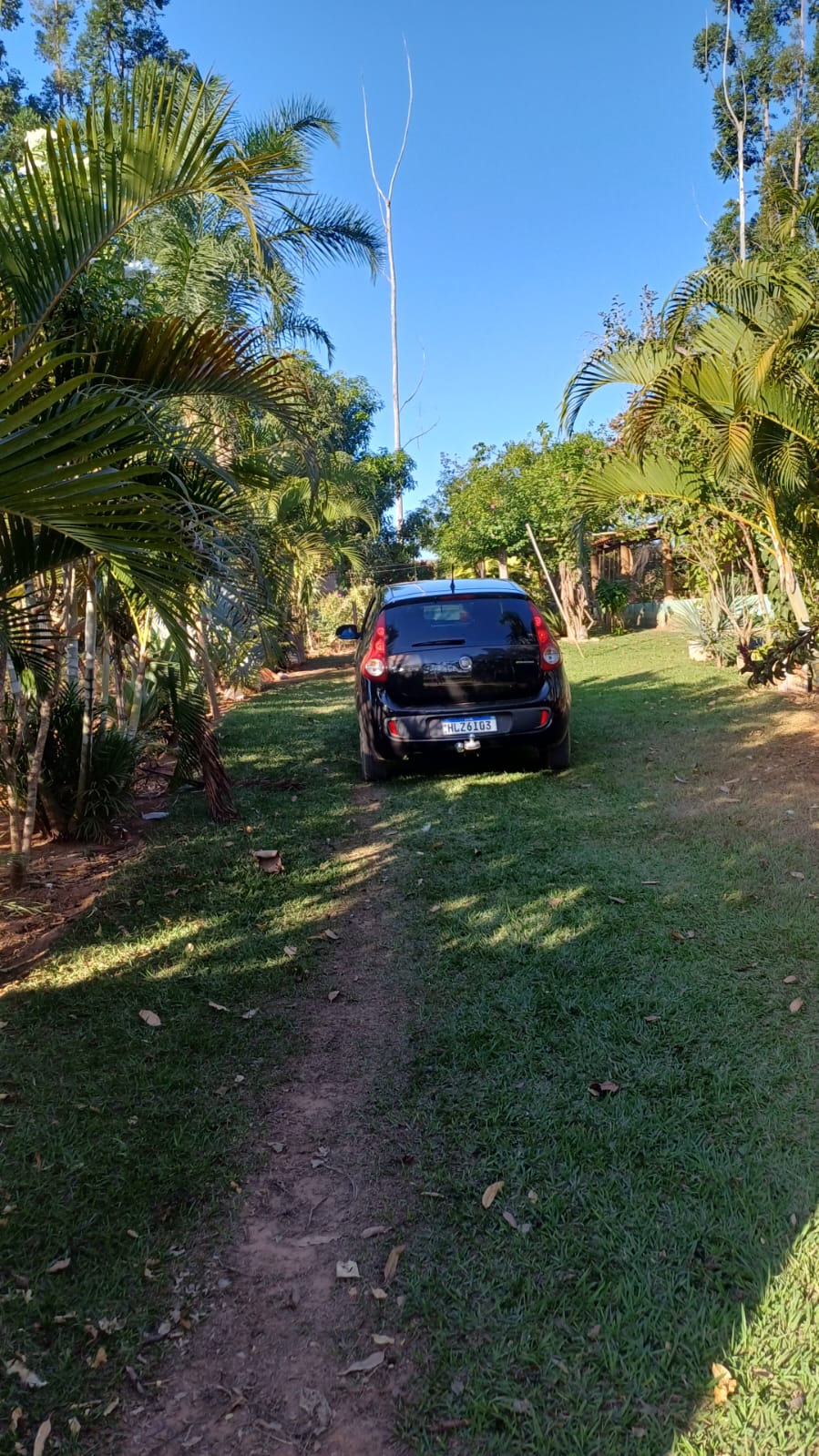 Imagem Chácara com 3 Quartos à Venda, 100 m²em Bom Jesus  - Uberlândia