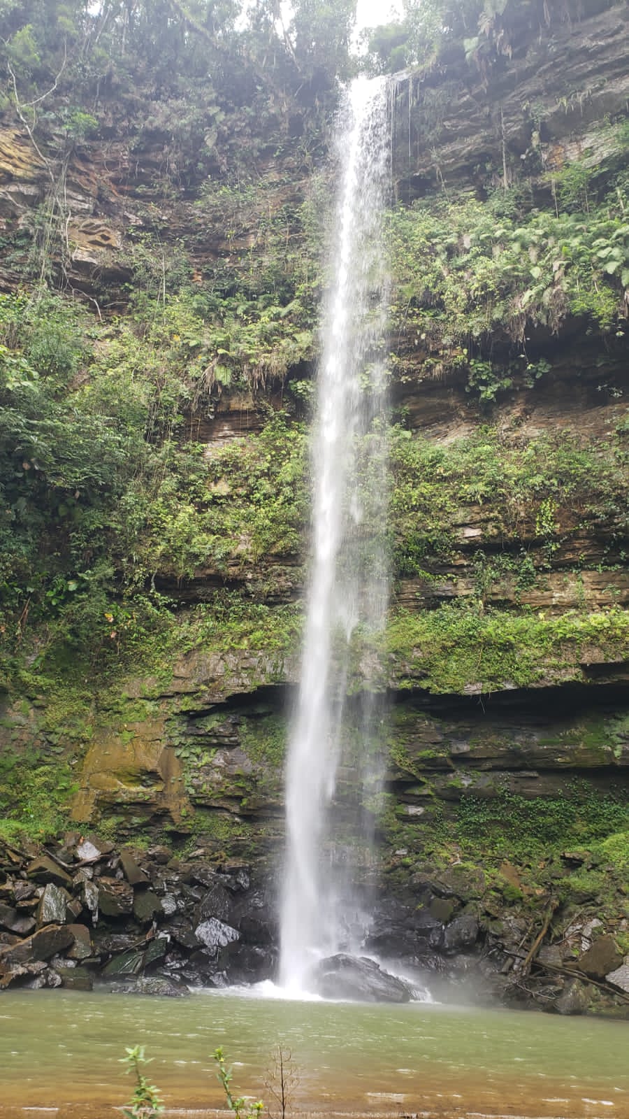 Imagem Chácara com 2 Quartos à Venda, 20.000 m² em Capivaras Alta - Grão Pará Imagem Chácara com 2 Quartos à Venda, 20.000 m² em Capivaras Alta - Grão Pará