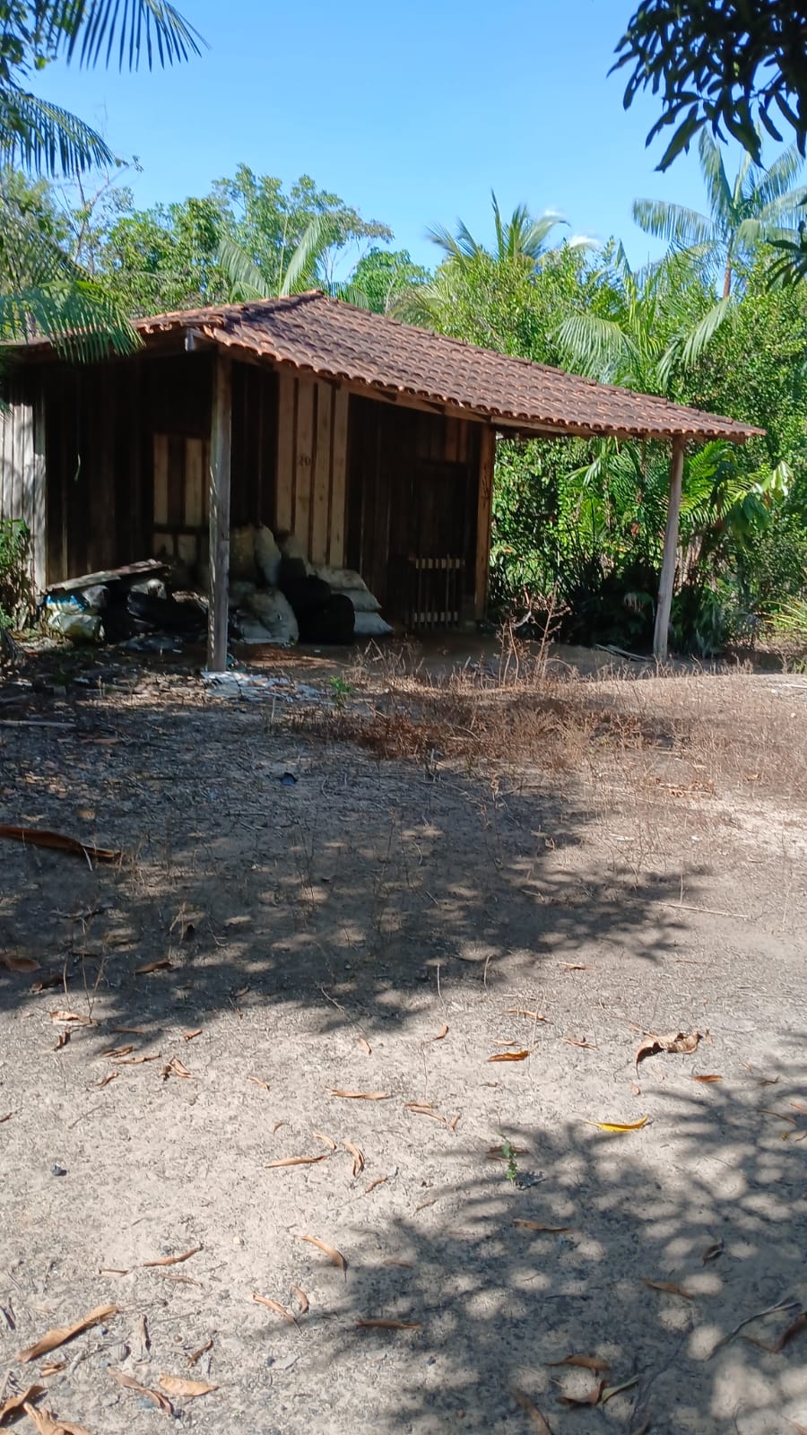 Imagem Terreno à Venda, 80.000 metro em - Bujaru Imagem Terreno à Venda, 80.000 metro em - Bujaru